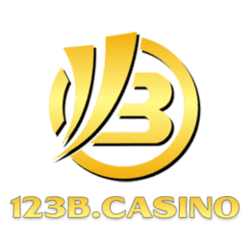 how do you play sudoku video
